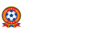 世界杯半决赛直播